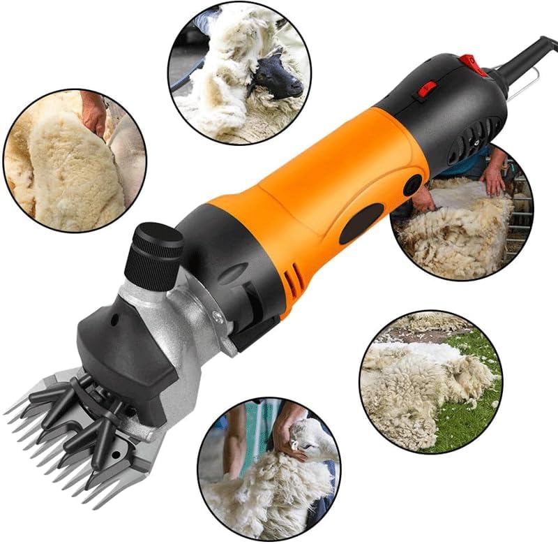 Professional Wool Shears, Adapted for Sheep Grooming