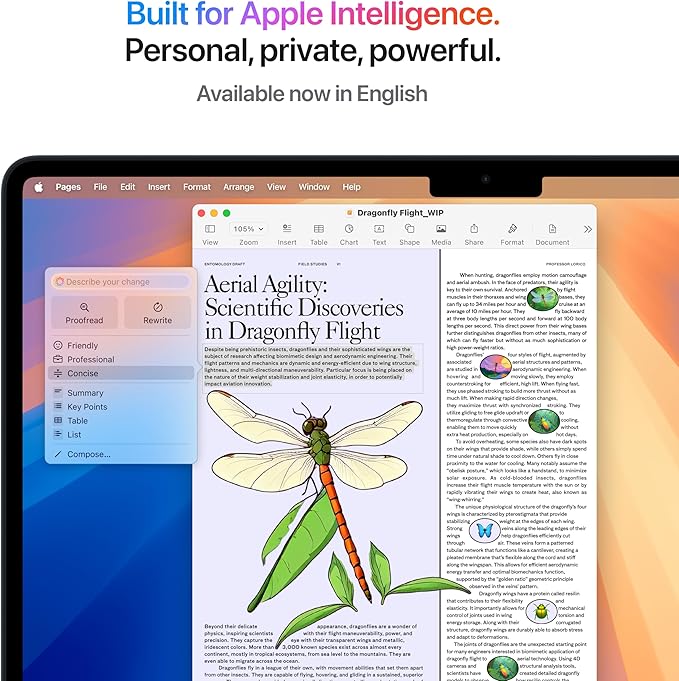 Apple 2025 MacBook Air (13.6 inch, Apple M4